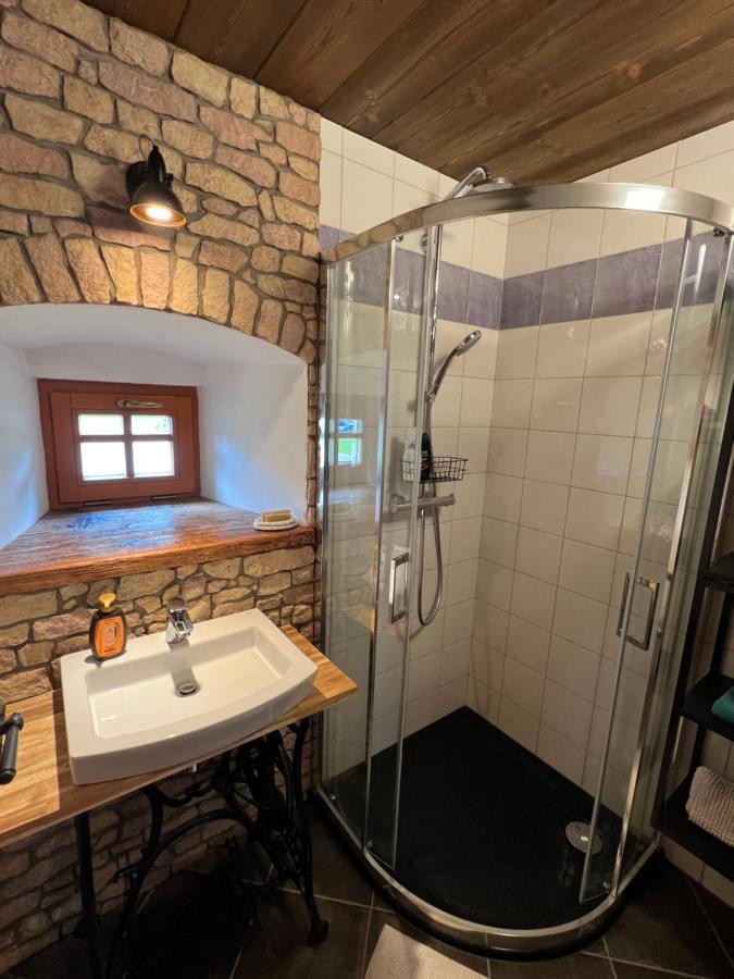 Little No.100 Holiday home Vidochov